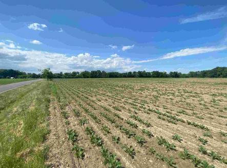 Prodej pozemku, ostatní, 1 696 m²