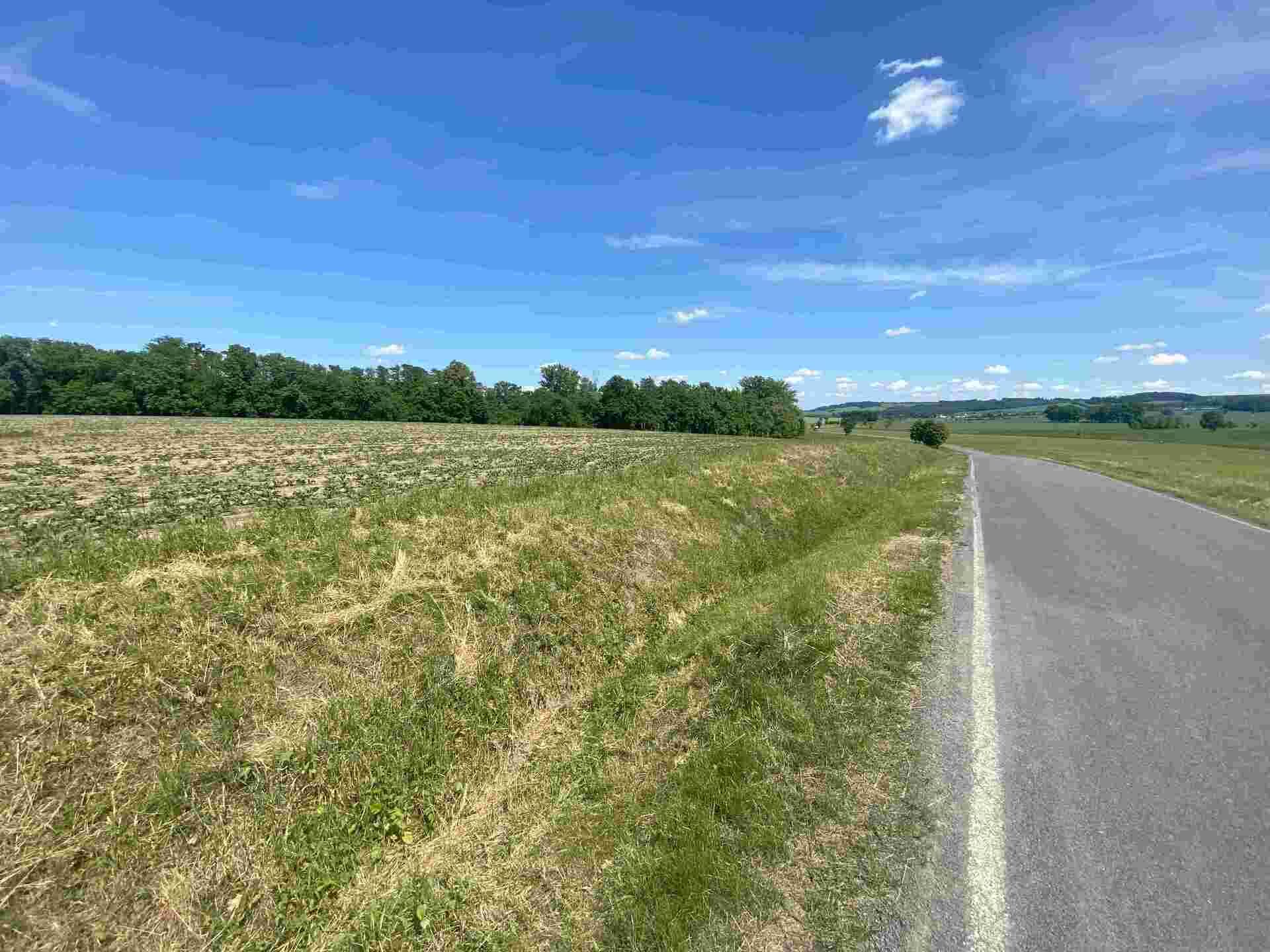 Prodej pozemků Dolní Životice