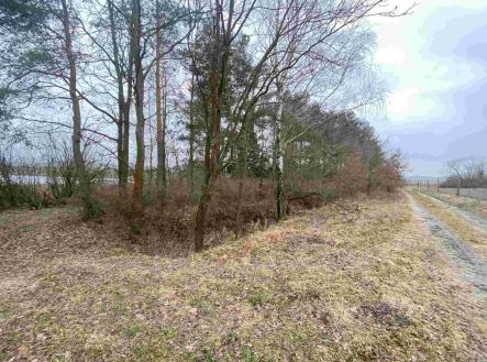 Prodej pozemku, ostatní, 2 121 m²