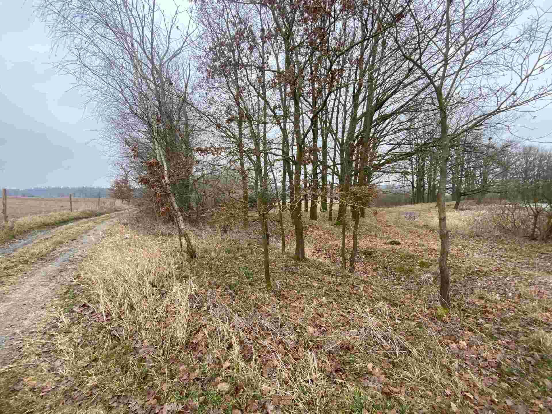 Prodej pozemků Albrechtice