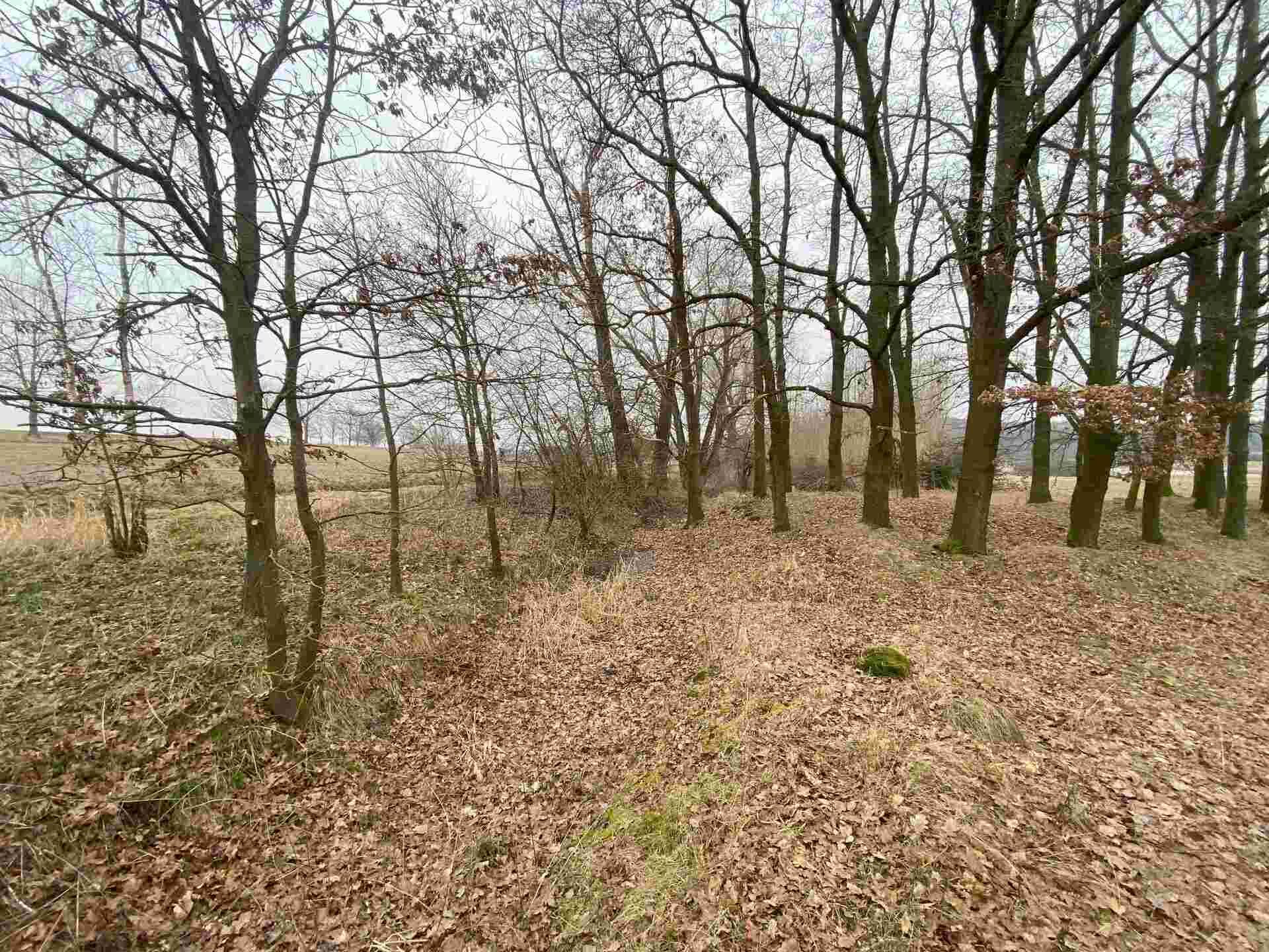 Prodej pozemků Albrechtice