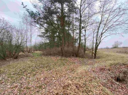 Prodej pozemku, ostatní, 2 121 m²