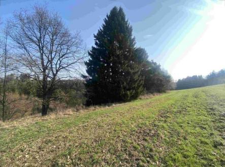 Prodej pozemku, ostatní, 3 163 m²