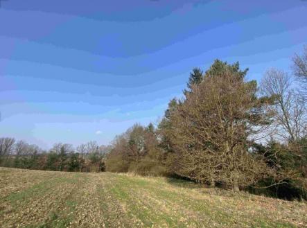 Prodej pozemku, ostatní, 3 163 m²