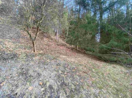 Prodej pozemku, ostatní, 858 m²