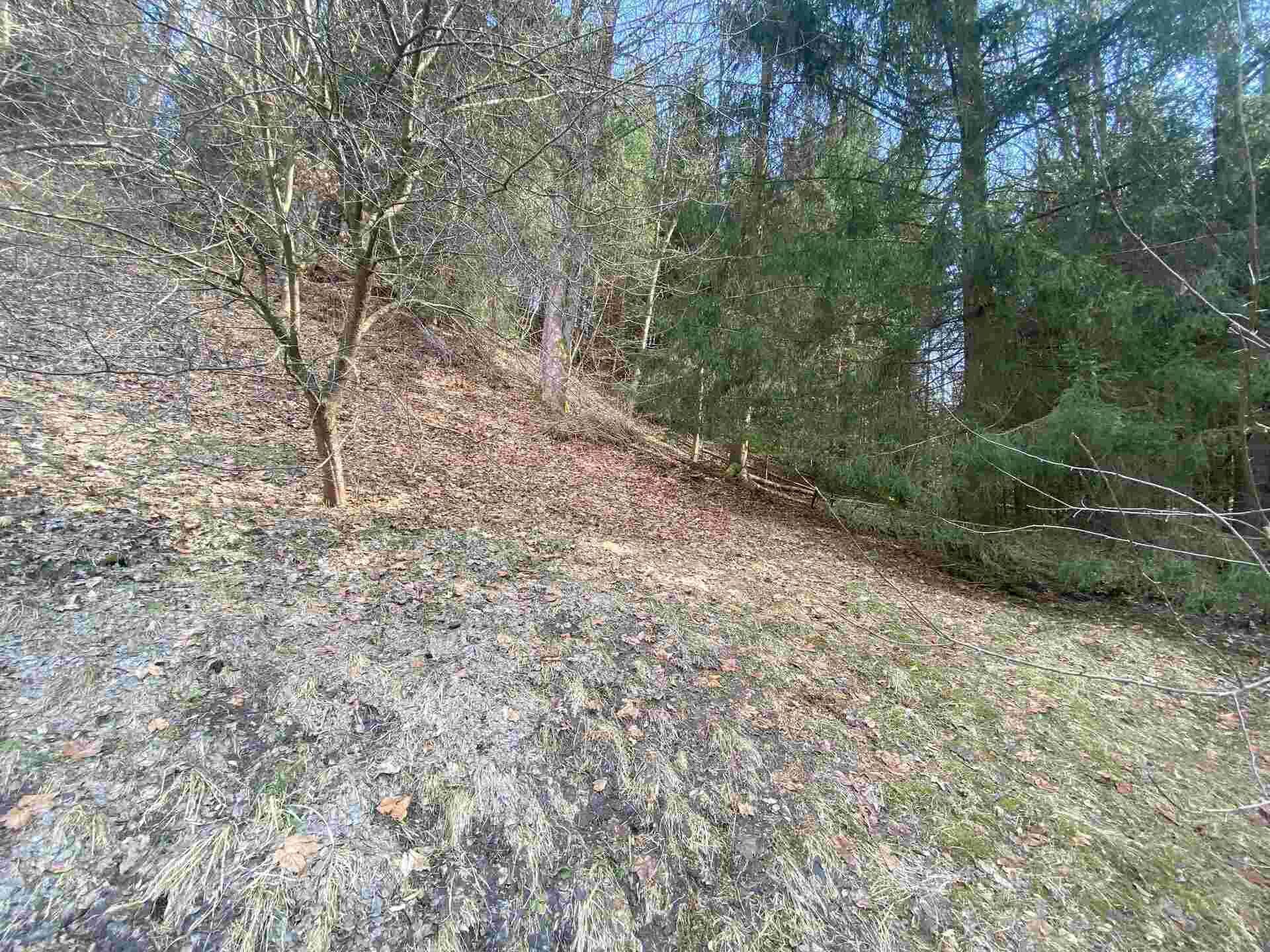 DRAŽBA  pozemku Rokytnice v Orlických horách