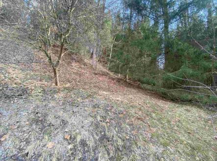 Prodej pozemku, ostatní, 858 m²