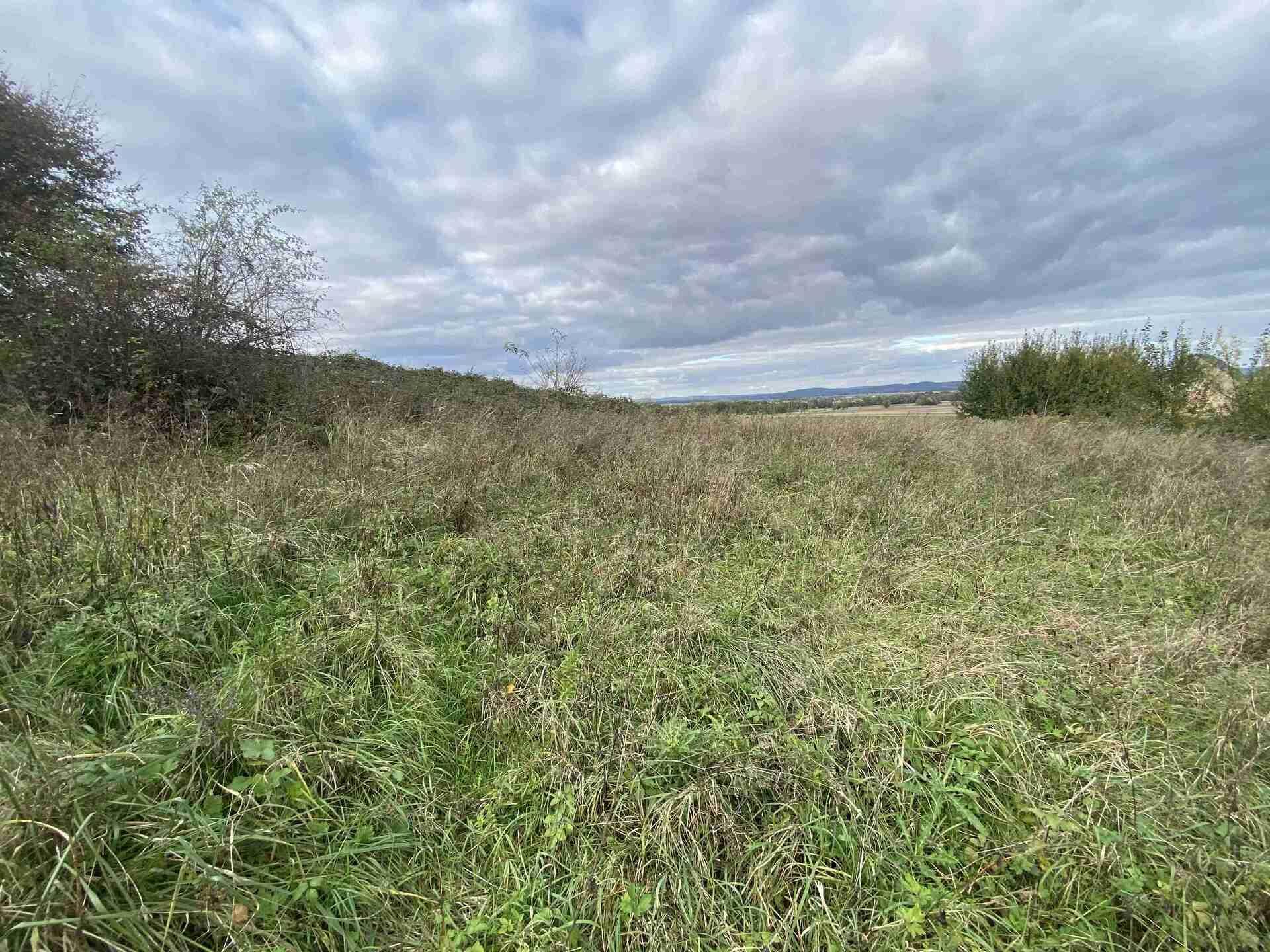 Dražba pozemků Horní Hoštice