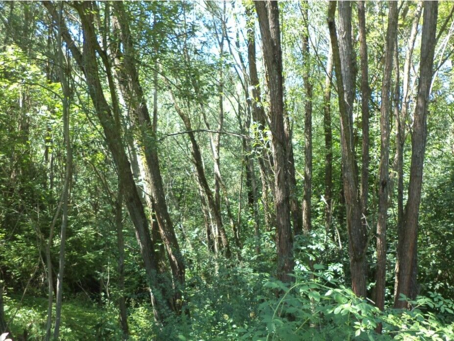 Prodej pozemků Všeměry