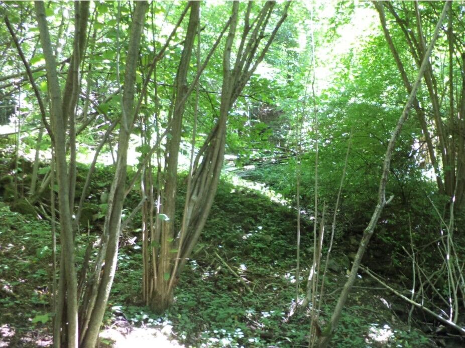 Prodej pozemků Všeměry