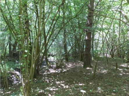 Prodej pozemku, ostatní, 3 581 m²