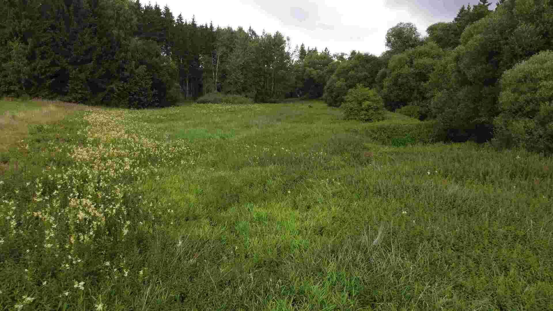 Prodej pozemku Dobronice u Chýnova
