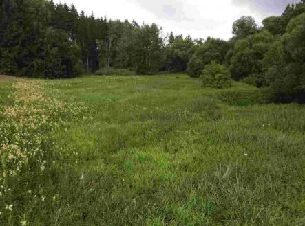 Prodej - pozemek, zemědělská půda, 22 334 m²