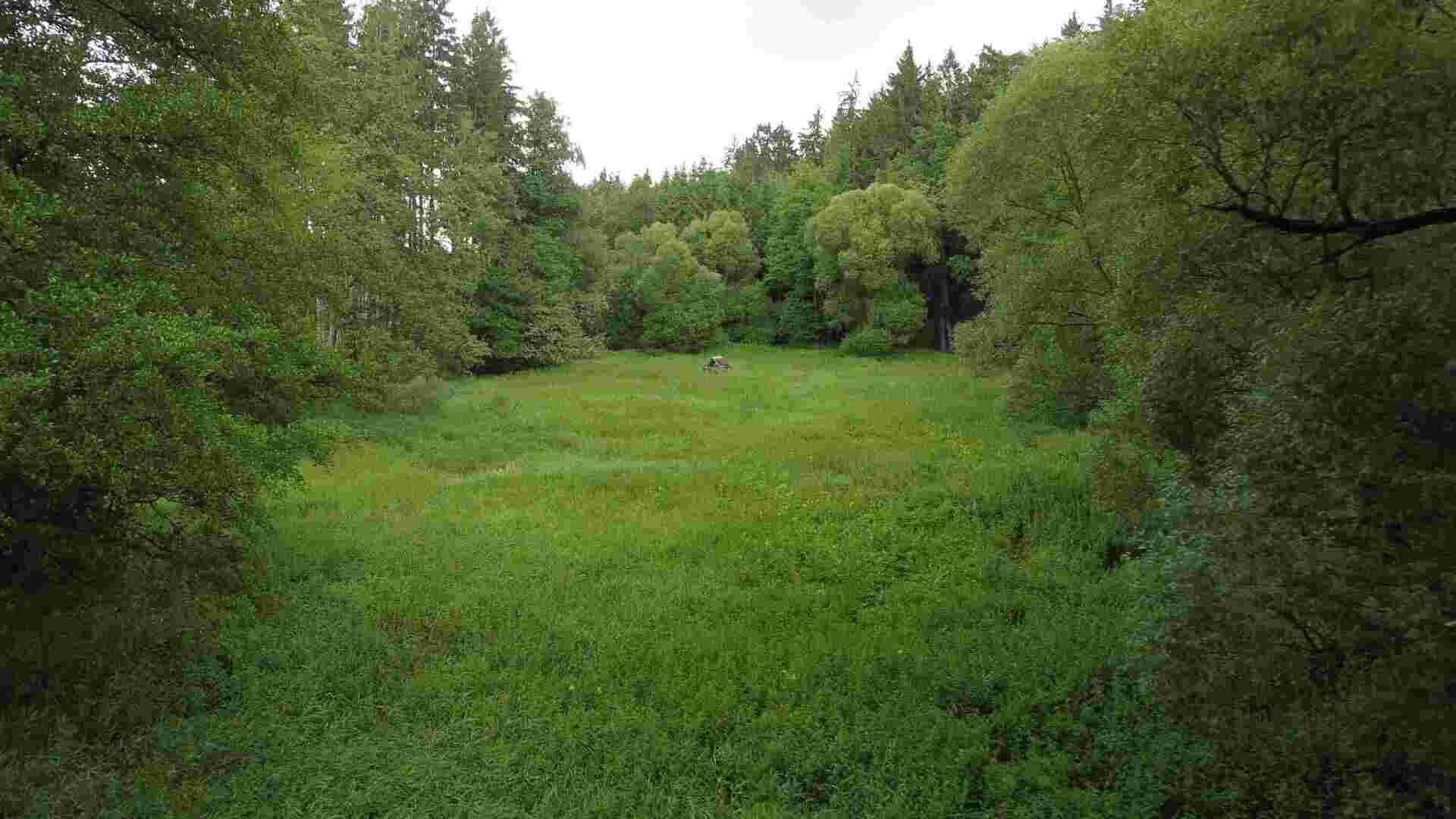 Prodej pozemku Dobronice u Chýnova