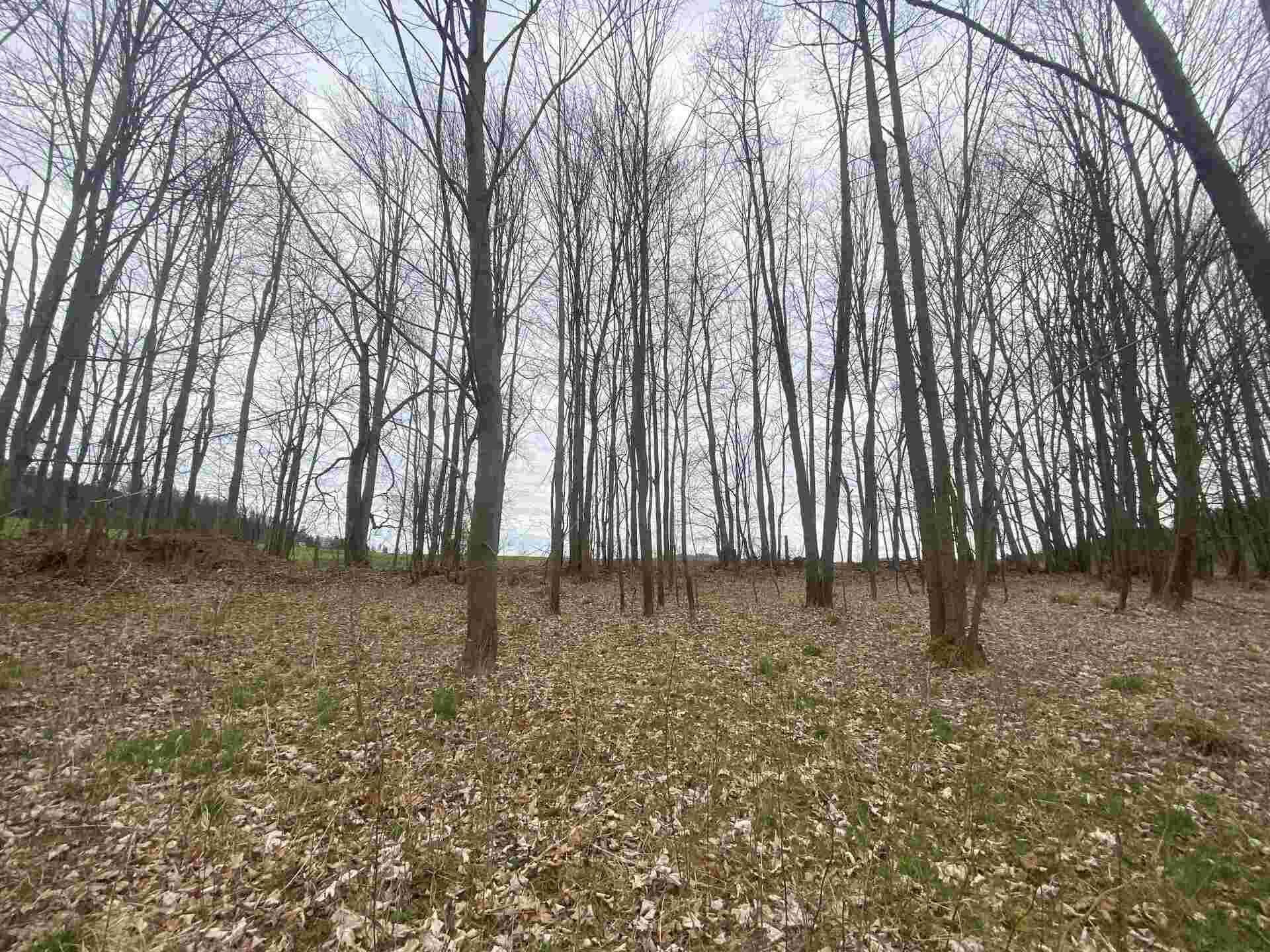 prodej pozemků Žinkovy