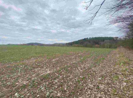 Prodej pozemku, ostatní, 4 837 m²