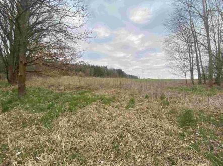 Prodej pozemku, zemědělská půda, 15 275 m²
