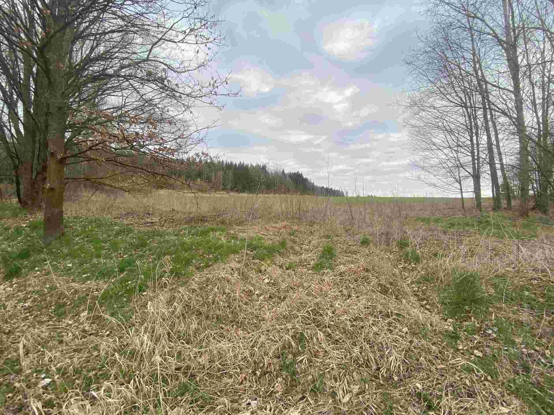 prodej pozemků Žinkovy