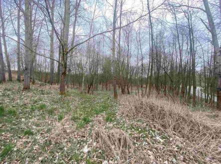 Prodej pozemku, zemědělská půda, 14 439 m²