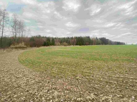 Prodej pozemku, zemědělská půda, 14 439 m²