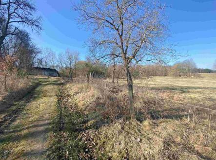 Prodej pozemku pro bydlení, 11 107 m²