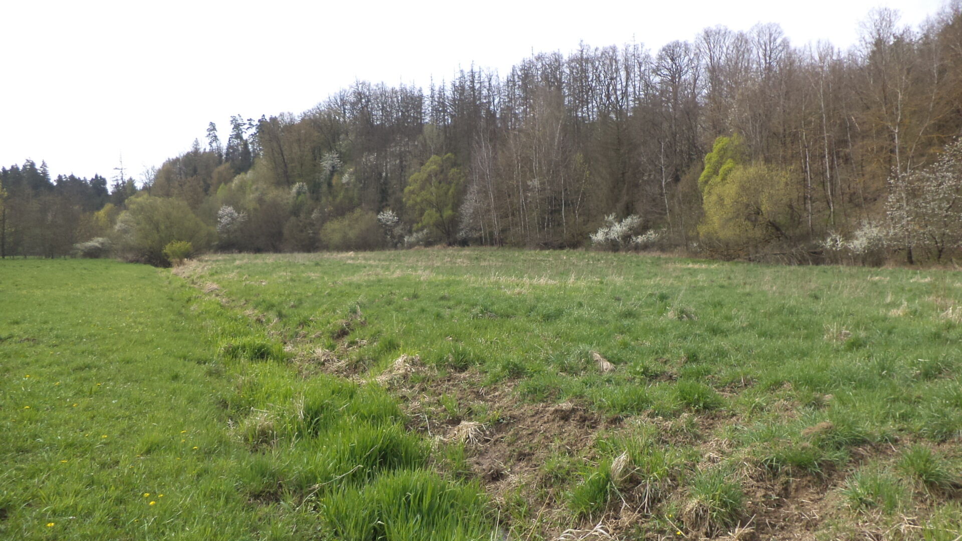 PRODEJ pozemků Dančovice