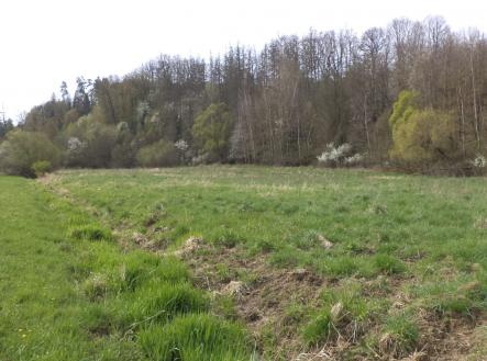 Prodej pozemku, ostatní, 4 036 m²