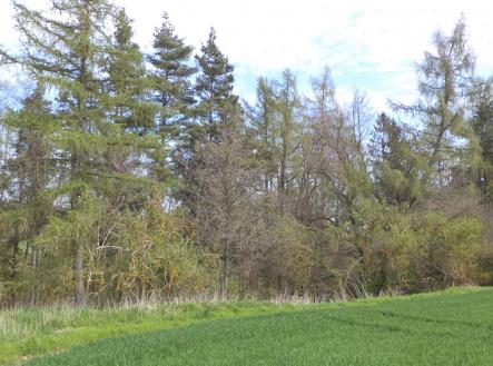 Prodej pozemku, ostatní, 4 036 m²