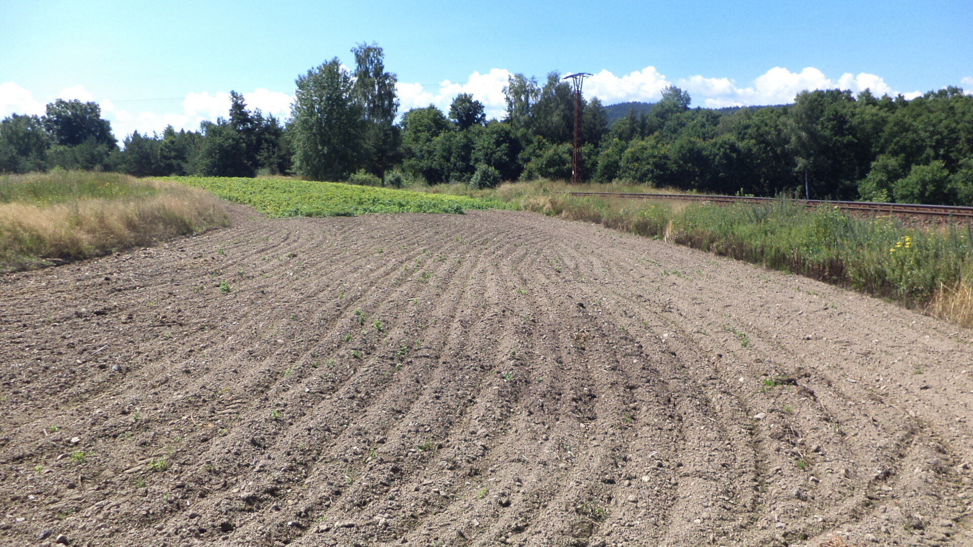 prodej pozemku k.ú. Stráž u Tachova