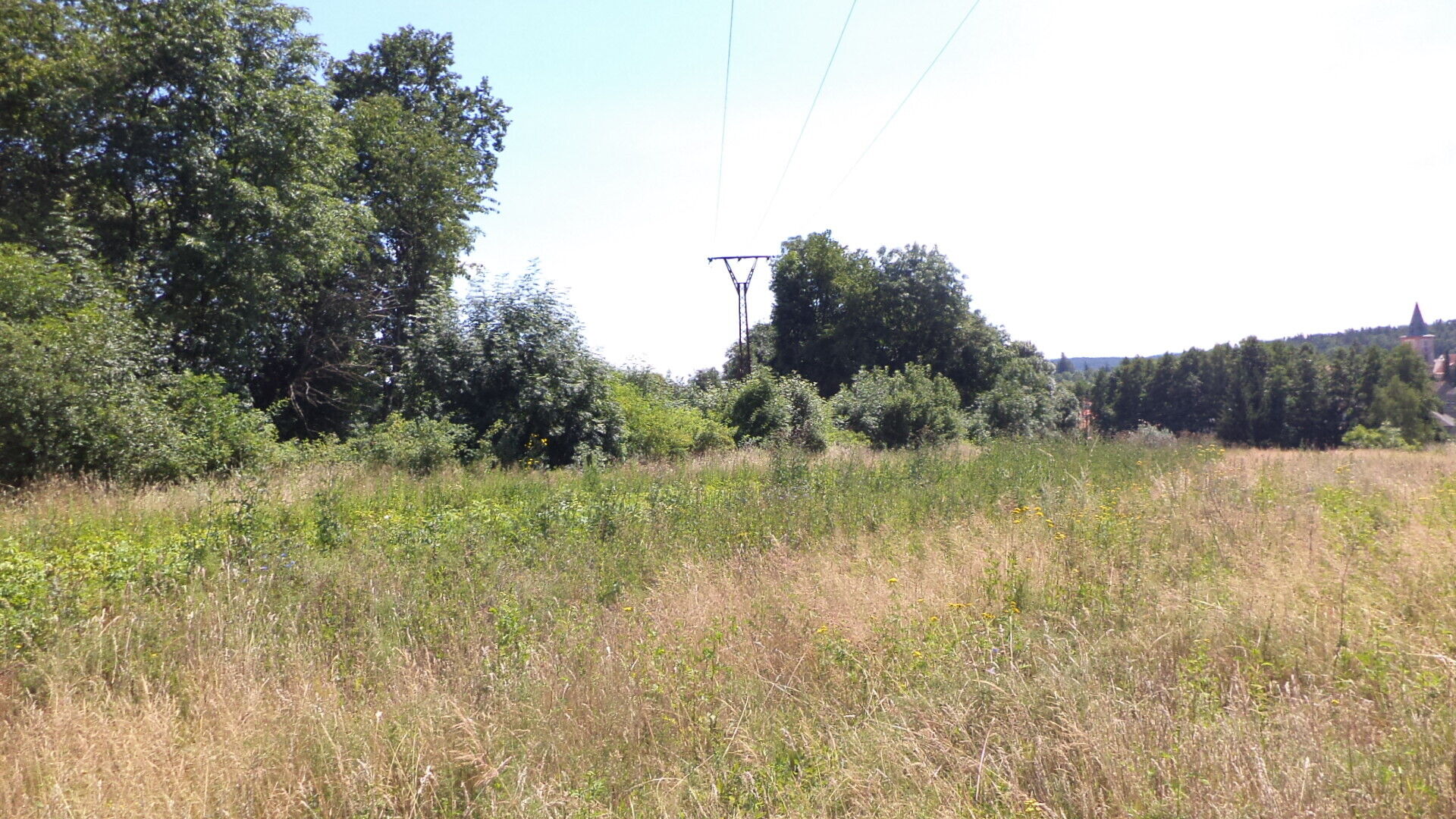 prodej pozemku k.ú. Stráž u Tachova