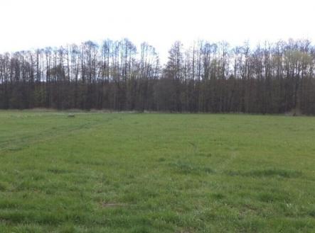 Prodej pozemku, zemědělská půda, 55 666 m²