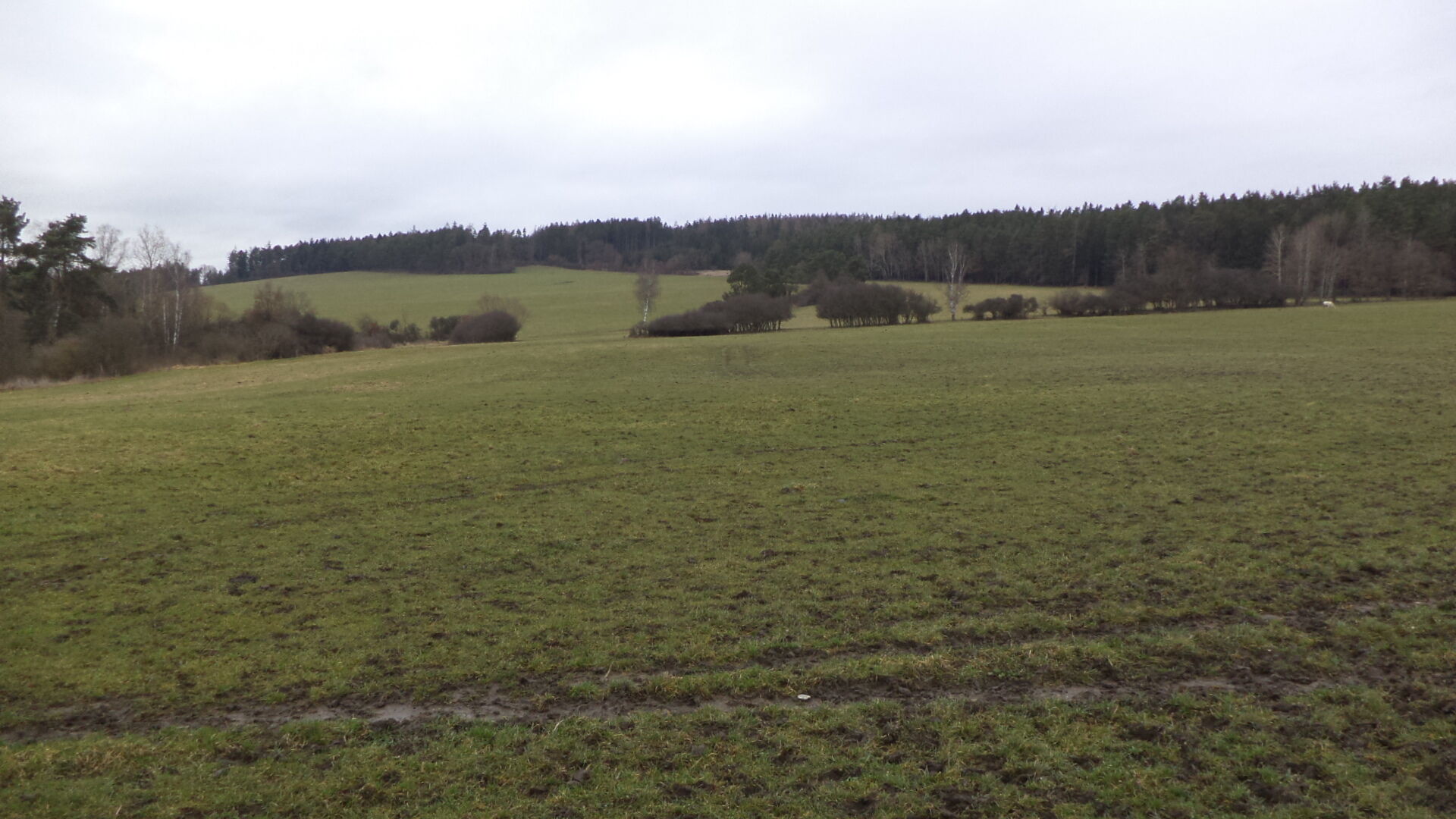 Prodej pozemků Srby nad Úslavou