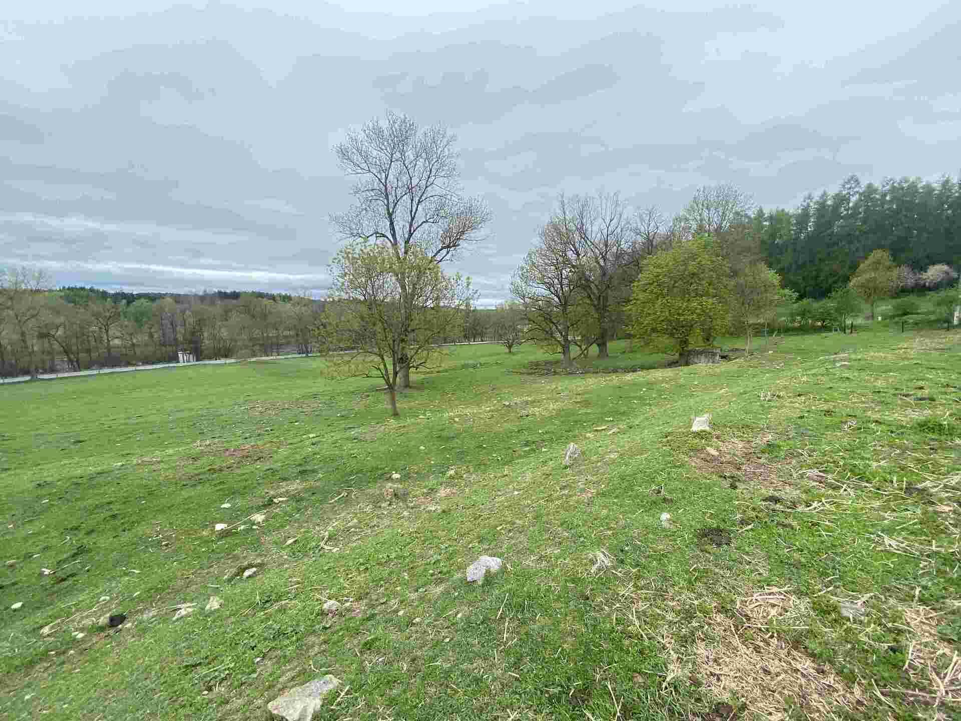 Prodej pozemku Žár u Nových Hradů