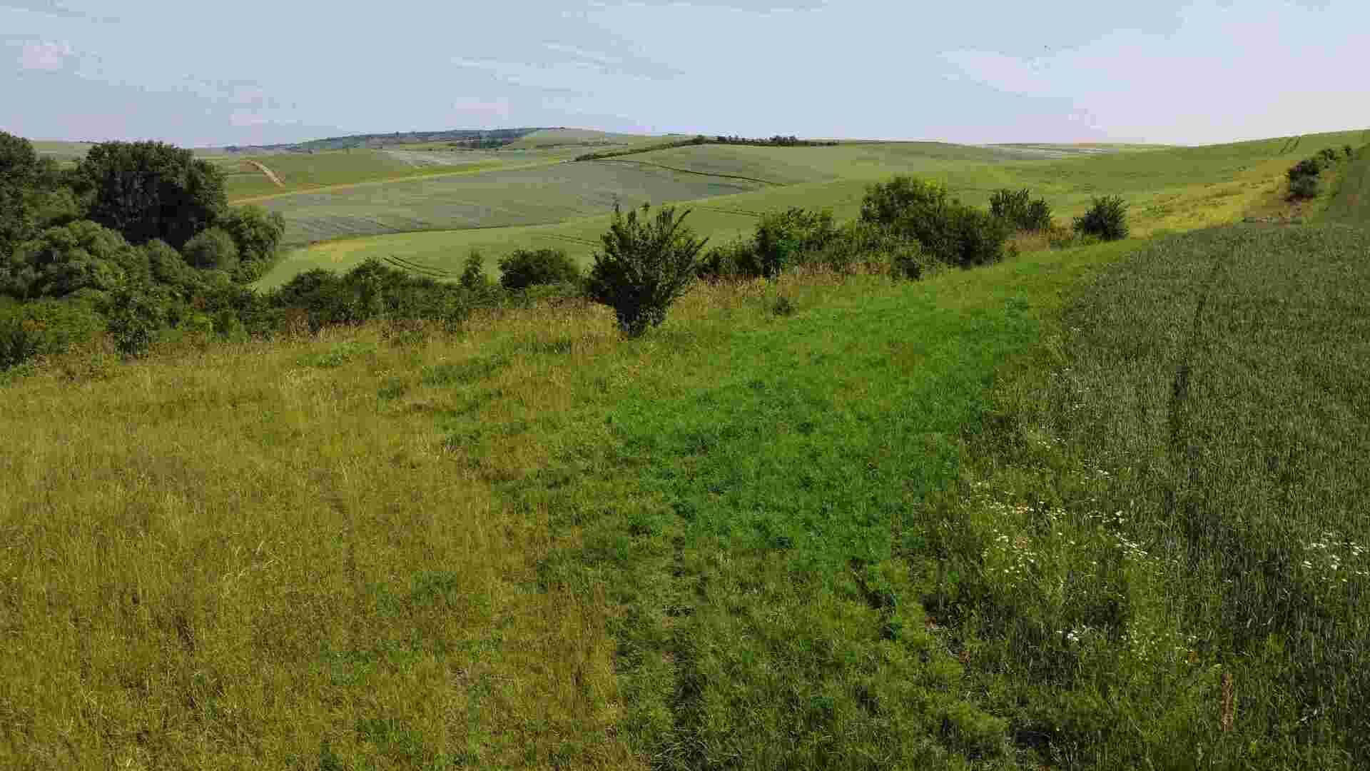 Prodej pozemků Bučovice