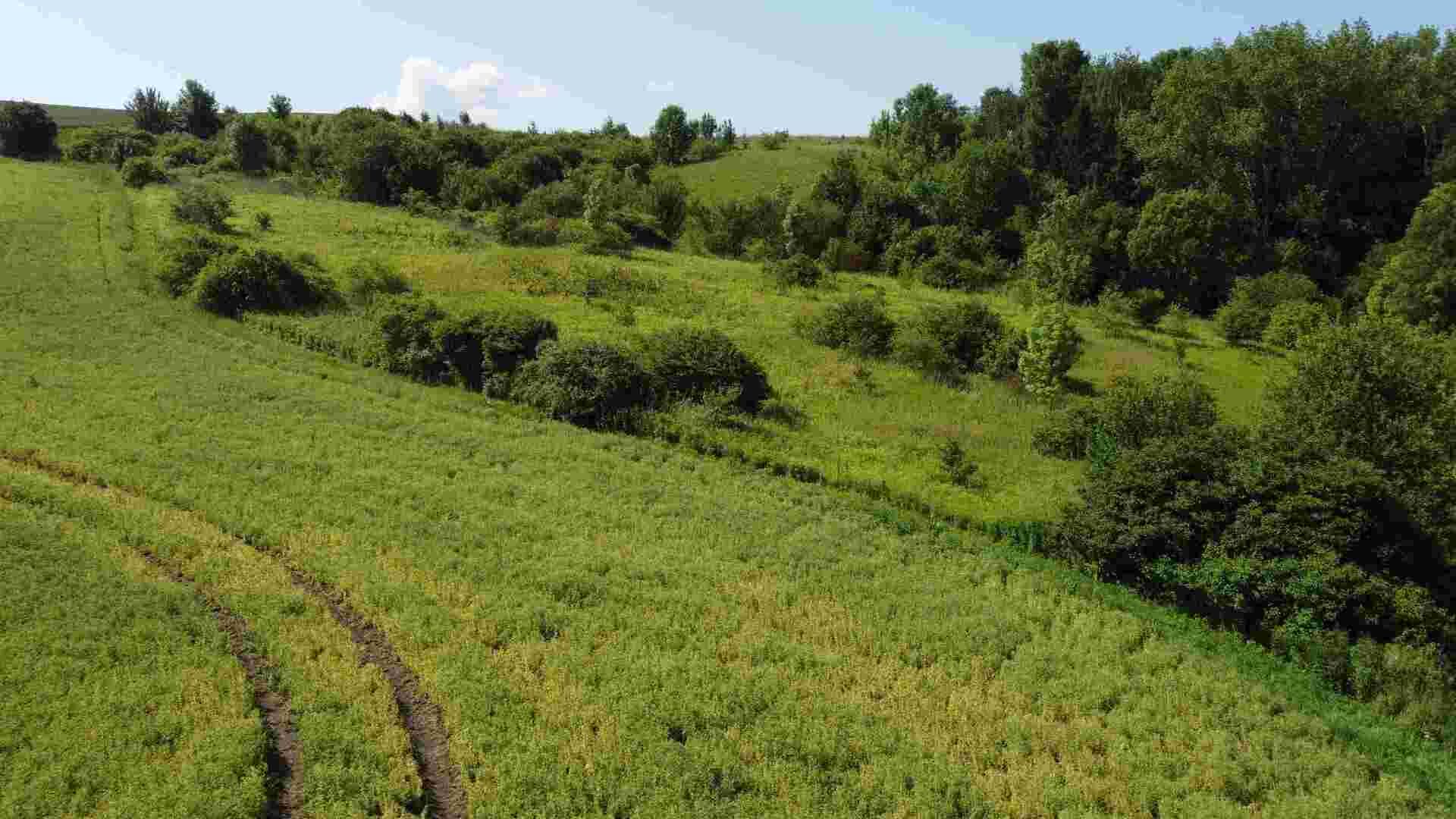 Prodej pozemků Bučovice