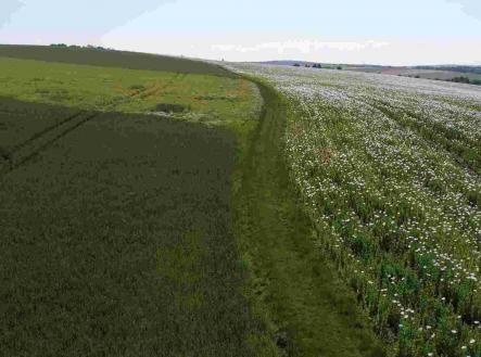 Prodej pozemku, zemědělská půda, 3 134 m²