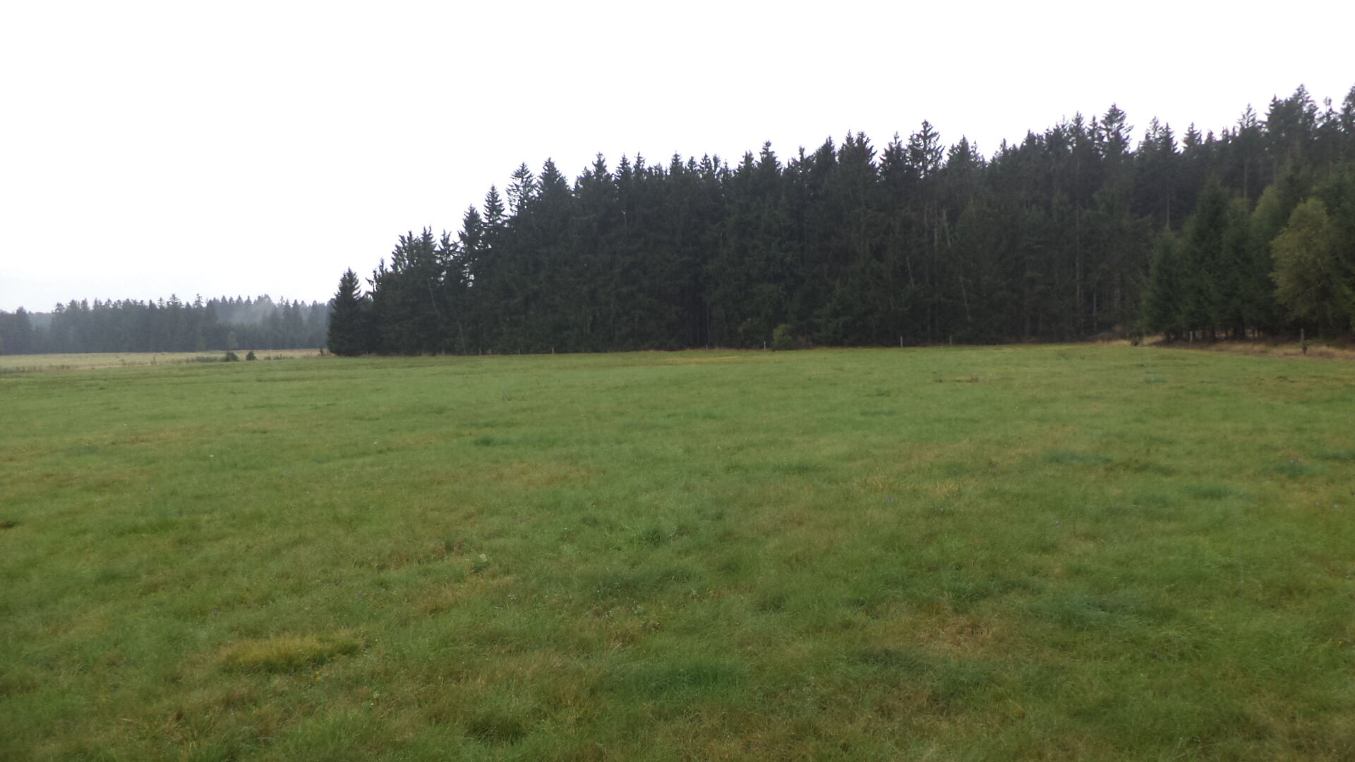 Prodej pozemku Konrac