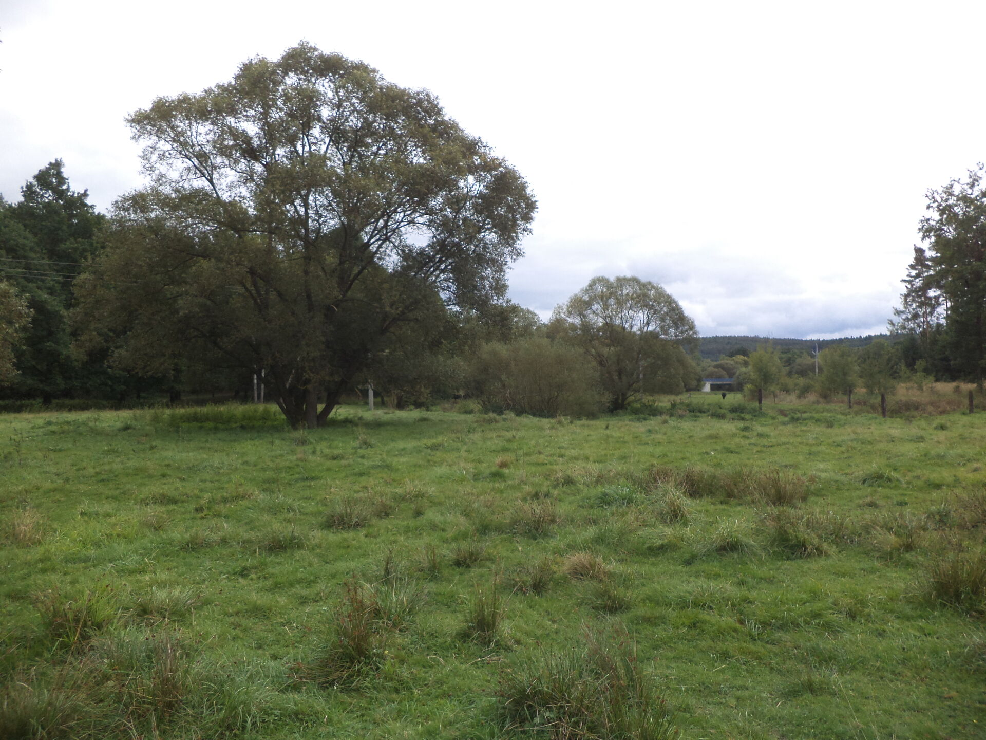 Prodej pozemku Lučkovice