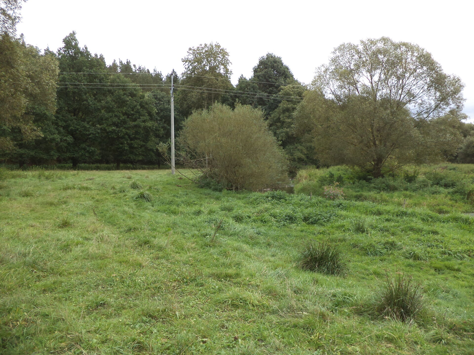 Prodej pozemku Lučkovice