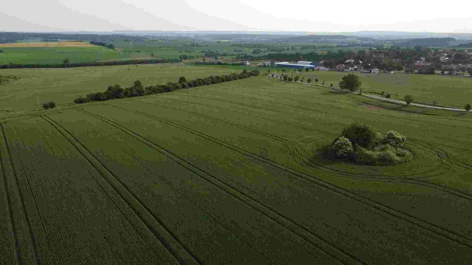 Prodej pozemků Petrovice u Rakovníka, část podíl 1/6