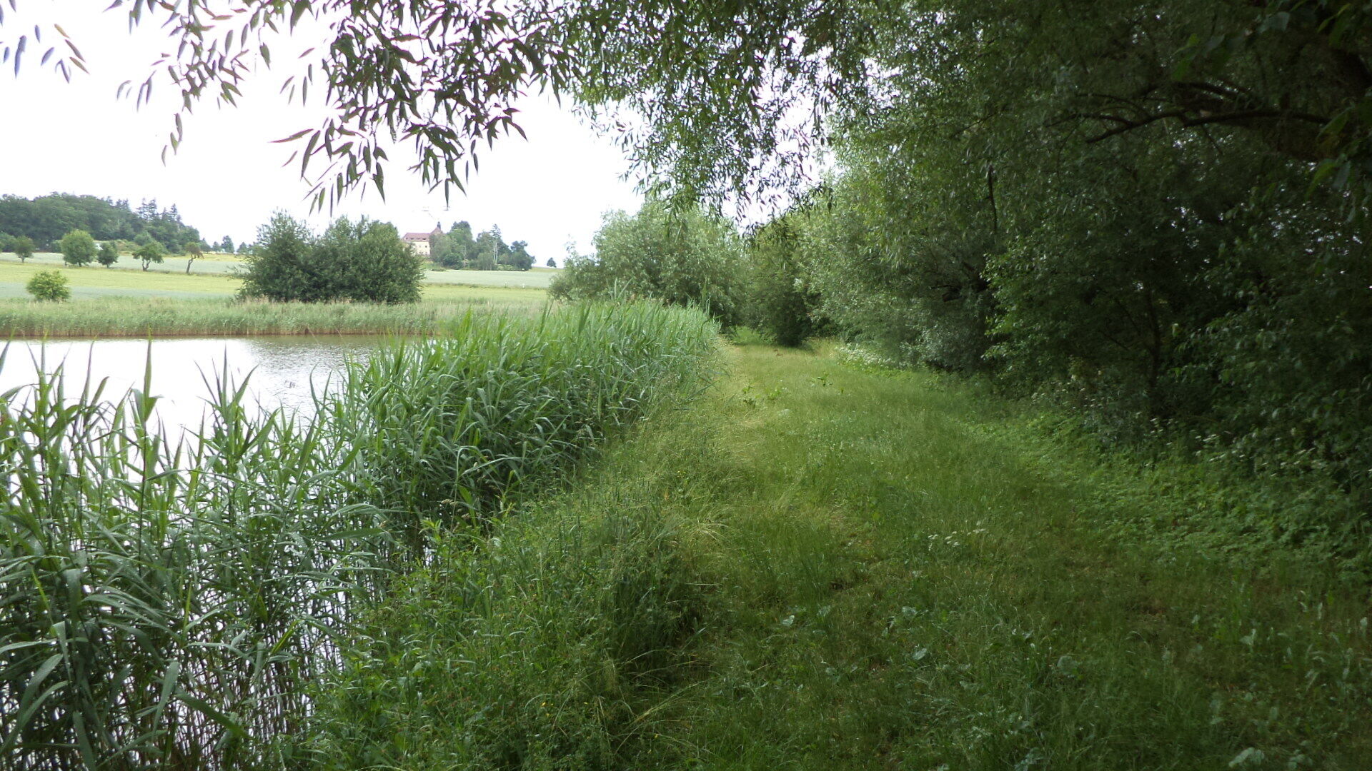 PRODEJ pozemků Dačice