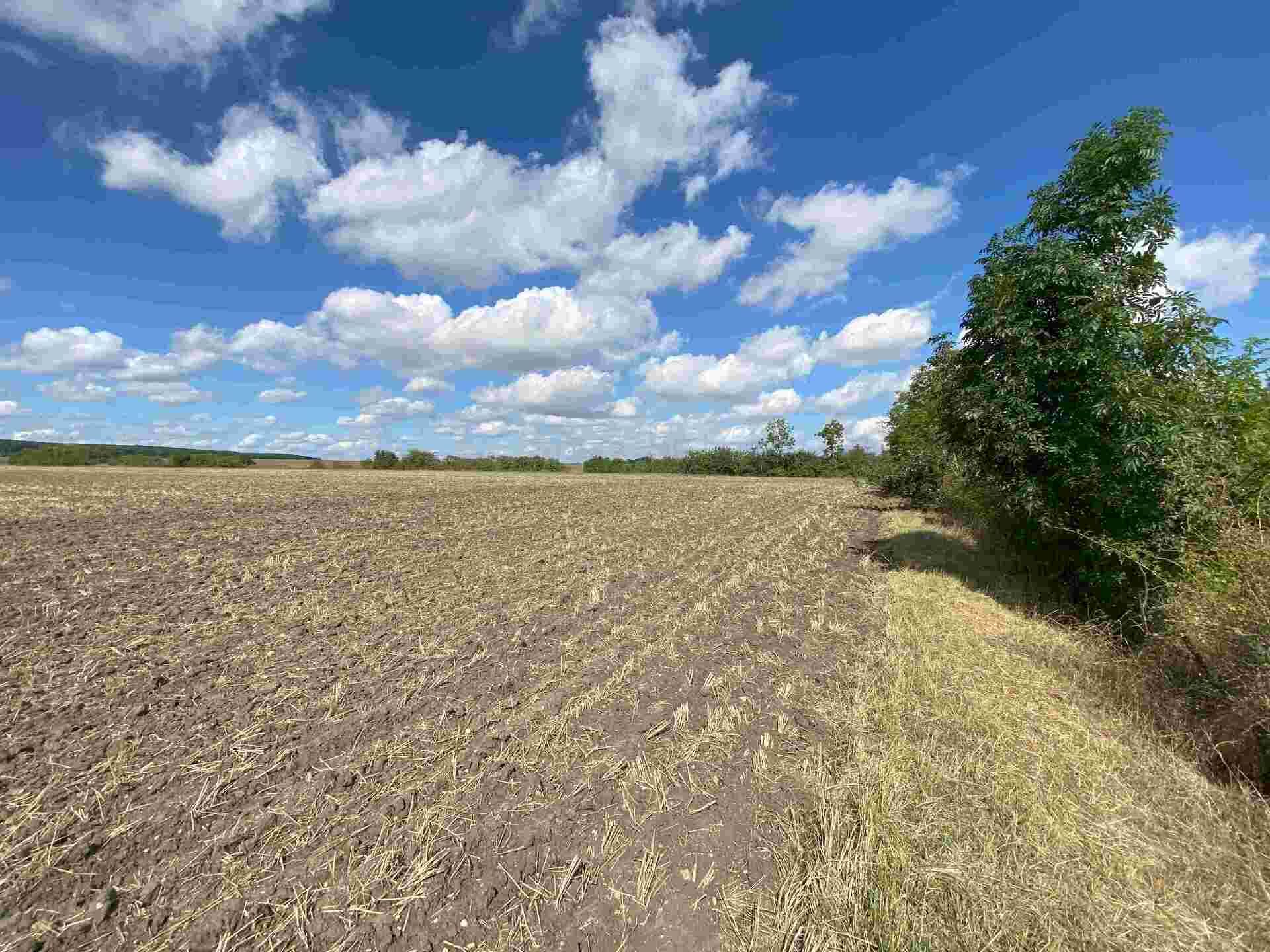 Prodej pozemků Zábědov