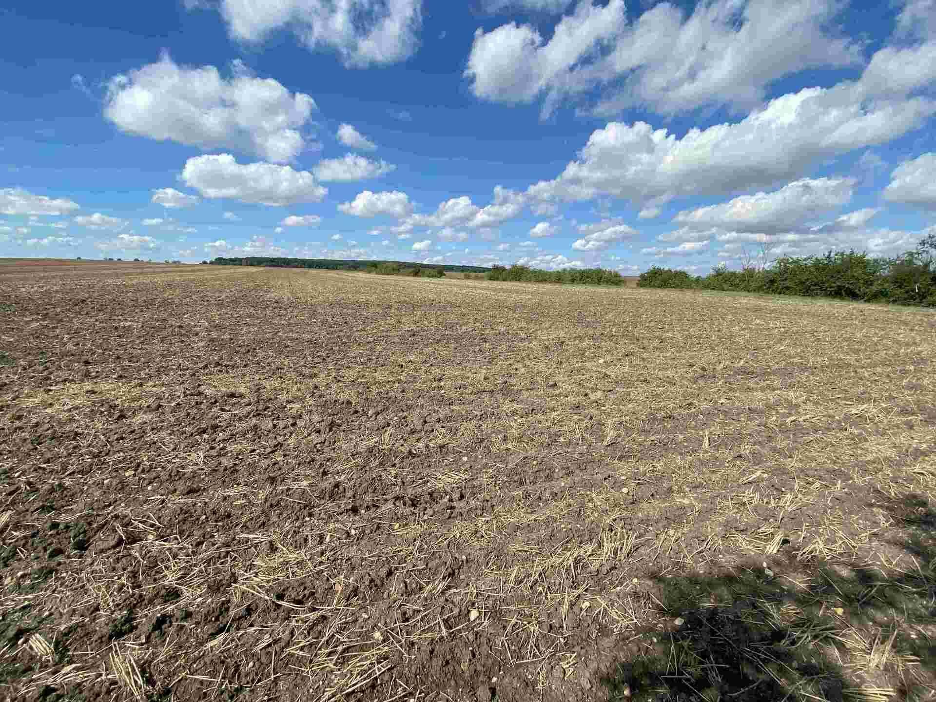 Dražba pozemků Zábědov