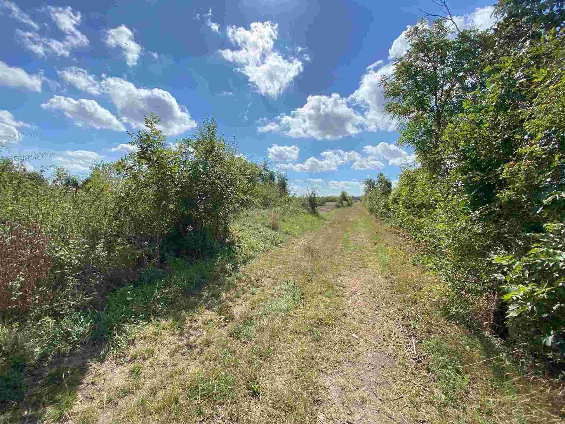 Dražba pozemků Zábědov