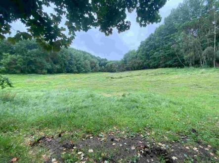 Prodej pozemku, zemědělská půda, 11 289 m²