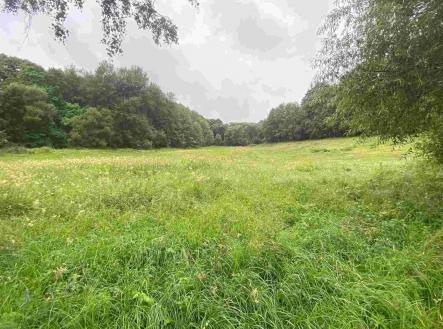 Prodej pozemku, zemědělská půda, 11 289 m²