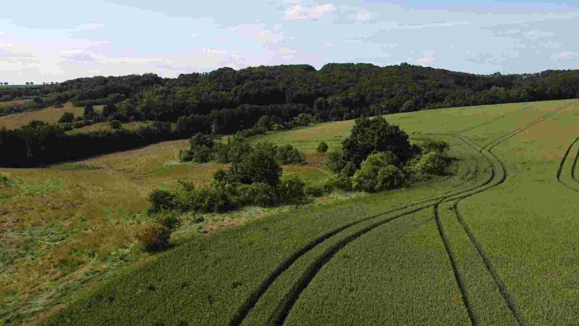 Dražba pozemků Dobrkovice