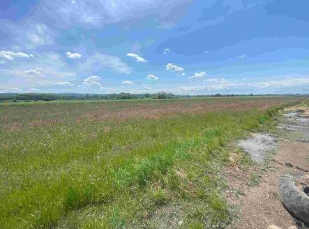 Prodej pozemku, ostatní, 2 873 m²