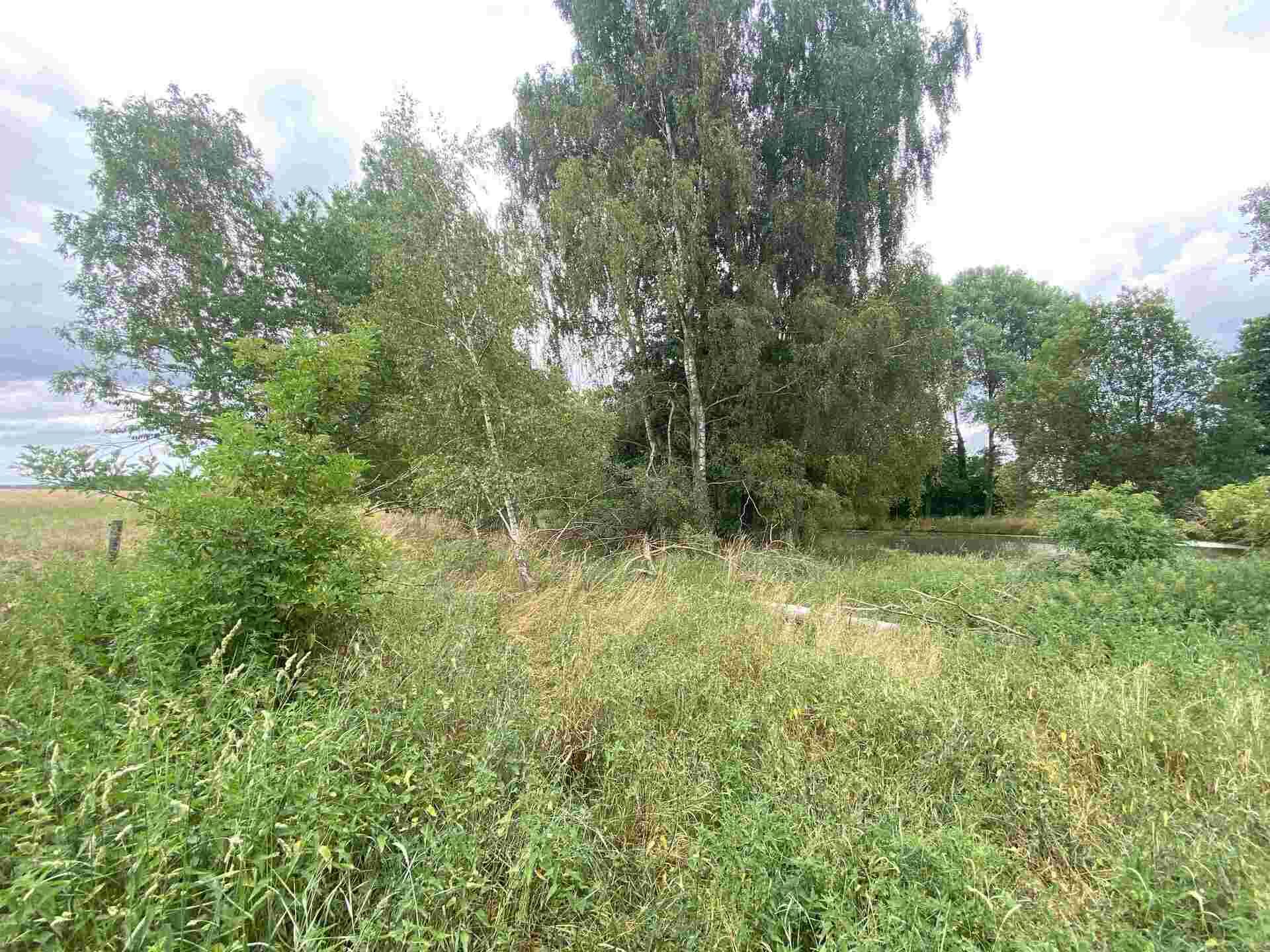 prodej pozemků Tuněchody u Stříbra