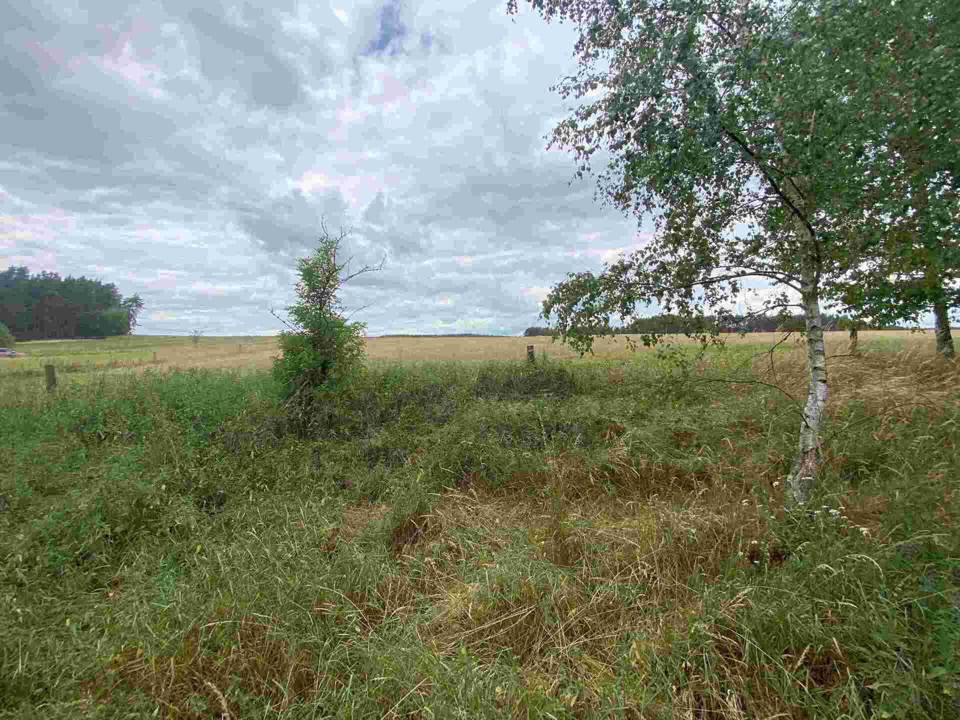 prodej pozemků Tuněchody u Stříbra